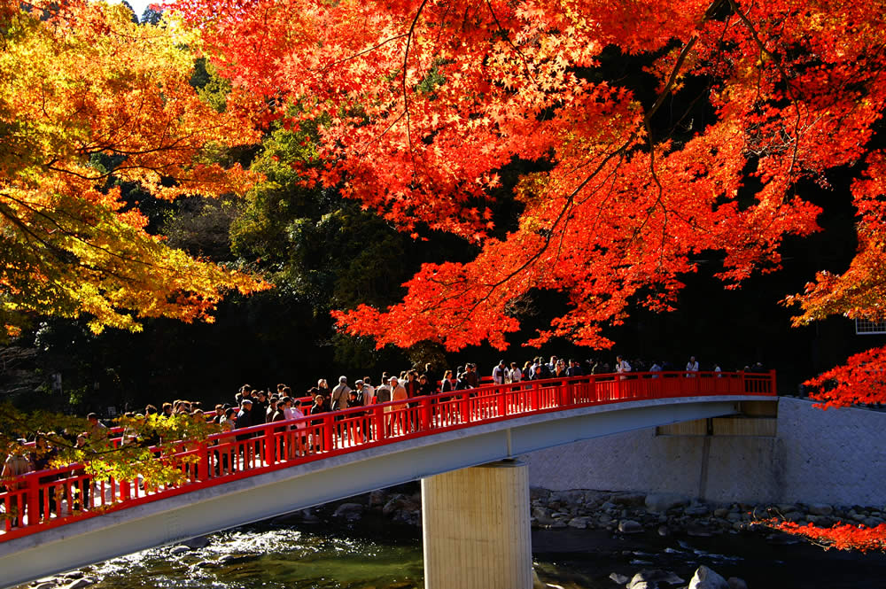 �y�G�[�XJTB�E�������s�z���m�c�A�[�E���m�̗��فE�z�e���\��@